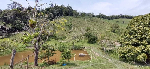 Imagem 12 de 14 de Miracatu/sitio Com 03 Lagos/pasto/curral/ref: 05068