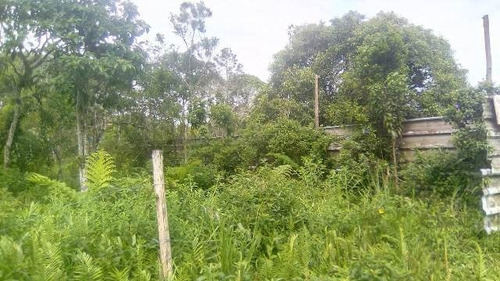 Imagem 3 de 3 de Lote Plano No Bairro Sitio Velho