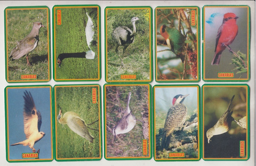 Fauna Uruguay Aves Set Completo 20 Tarjetas Coleccionables