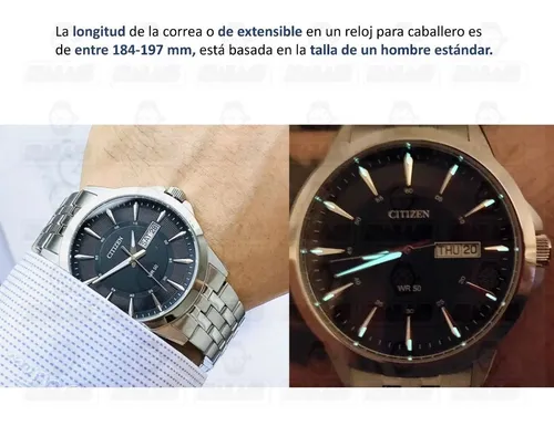 Citizen wr 50 caracteristicas hotsell
