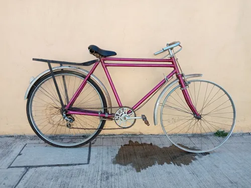 Bimex vagabundo new arrivals