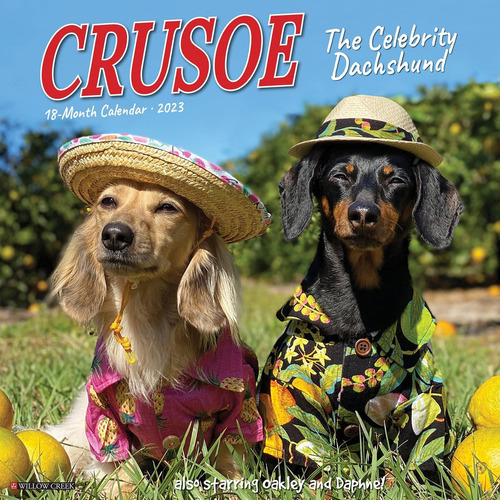 Calendario Pared Crusoe The Celebrity Dachshund 2023