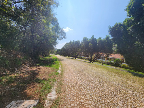 Venta De Lote San Diego 10 De Enorme Dimensiones Con Bonita Vista Y Proyecto Incluído Cerca De Acceso Y Amenidades En Fracc Rancho San Diego Ixtapan De La Sal Edomex