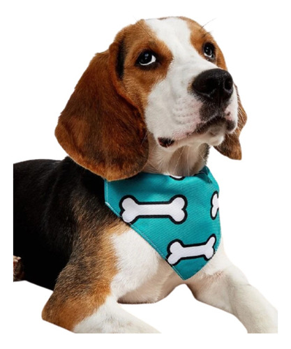 Collar + Pañuelo De Mascotas (talla S/m)