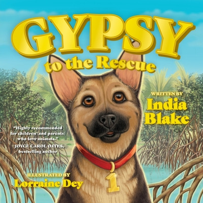 Libro Gypsy To The Rescue - Blake, India
