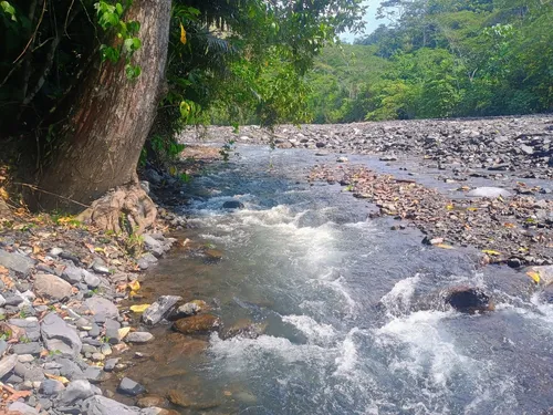 Finca Multipropósito En Minasal Yacopi Cundinamarca