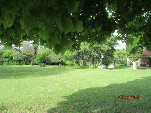 Imagen 11 de 30 de Se Venden 10 Ha En Valle Hermoso Con Servicios
