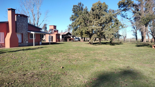 Campo Mixto En Alvear Saladillo 118 Hectareas Ganadera Y Agricola