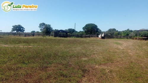 Imagem 4 de 15 de Fazenda Á Venda No Formoso Do Araguaia - To - 1.327,2 Hec., (dupla Ptidão) - 2263