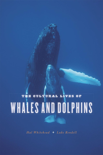 Libro: The Cultural Lives Of Whales And Dolphins