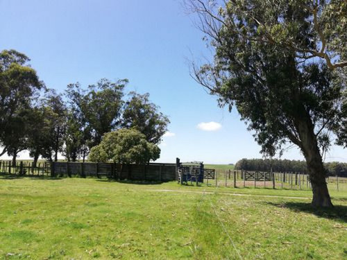 Campo En Venta En Rocha Ref. 7123