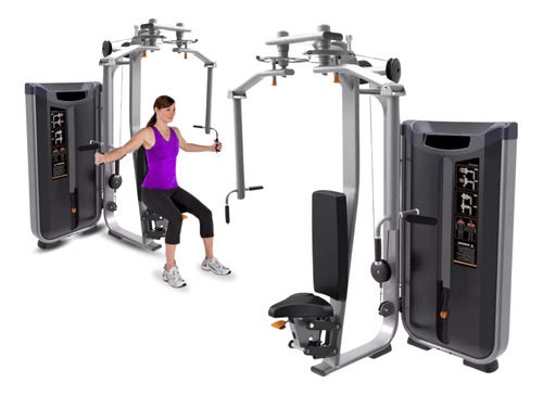 Pec Fly/rear Delt Equipo Profesional C/peso Integrado