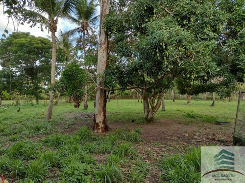 Granja A Venda Na Lagoa Do Bonfim, Nísia Floresta