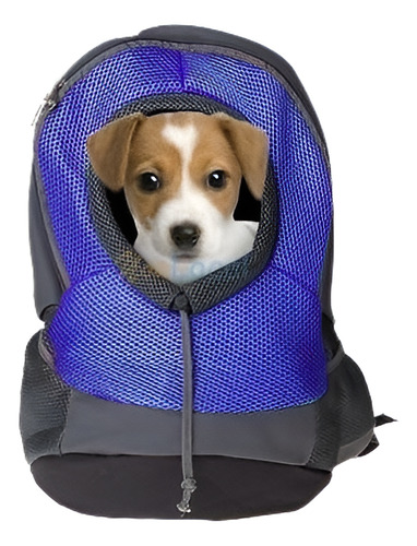 Animal Doméstico Portador Perro Gato Cachorro Viaje Bolso Mo