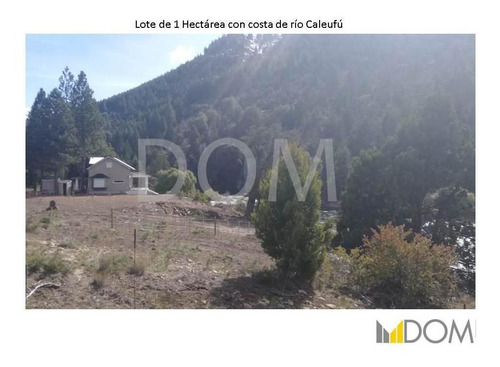 Imagen 4 de 13 de Impresionante Lote De 1ha Con Costa De Río