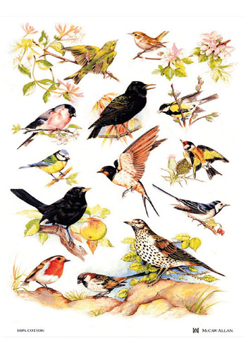 Lamont 'british Birds' Toalla Cocina Importada 100% Algodon