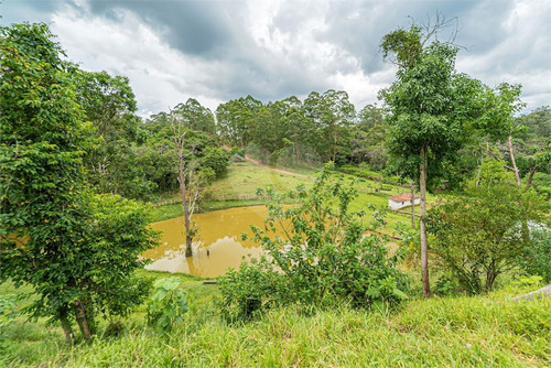 Imagem 25 de 30 de Sitio Rural - Praia Paulistanas - Reo639076