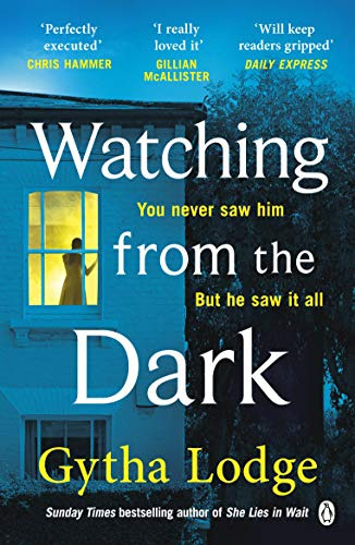 Libro Watching From The Dark De Lodge, Gytha