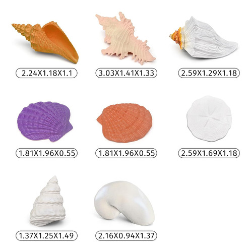 Mini Shell Moddle Conchas Marinas Para Niños Conchas Marinas