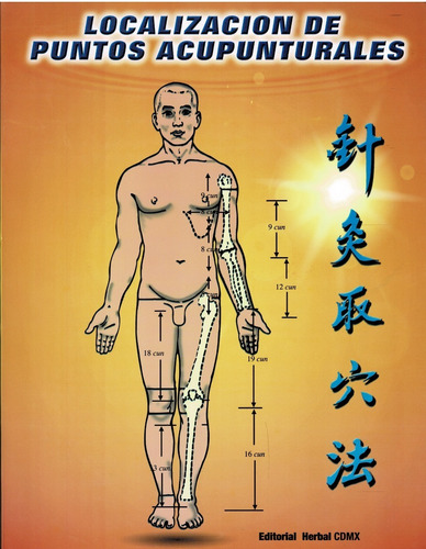 Localización De Puntos Acupunturales