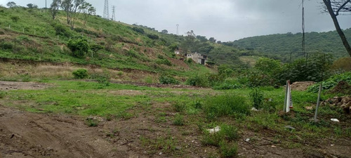 Imagen 6 de 9 de Terreno En Venta A Pie De Carretera Tecomatepec, Ixtapan De La Sal, Edomex