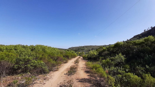 Imagen 7 de 14 de Chacra Turística A 5km De La Playa, Ruta 73!!!