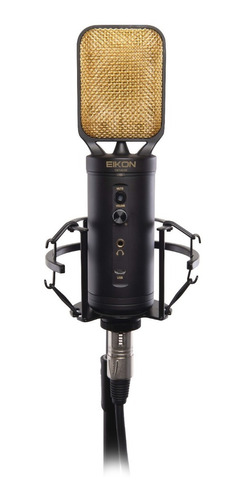 Microfono Condenser Profesional Grabación Proel Cm14 Usb