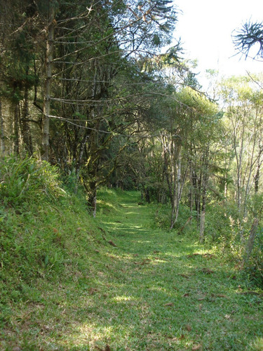 Belíssimo Sítio 5 Alq. Piedade Sp