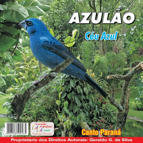 Cd Canto De Pássaros Azulão Céu Azul Canto Paraná