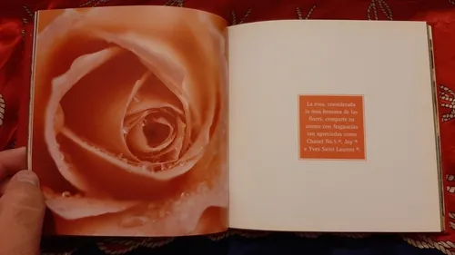 Perfume Pasion Y Seduccion - Elena Villarreal (Usado)