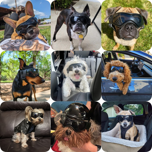 Lk Gafas De Sol Ajustables Para Perros Pequeños Y Medianos
