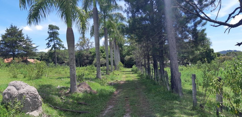 Imagem 14 de 15 de Terreno Para Venda Em Ribeirão Das Neves, São Jose - T15_1-1456455
