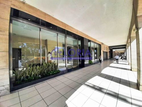 Imagen 7 de 30 de Semipiso En Venta 145 M2 - Oportunidad - Excelente Ubicacion