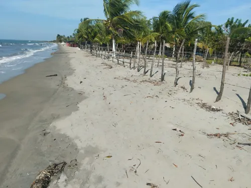Últimos Lotes De Playas En Tolu Con Salida Al Mar