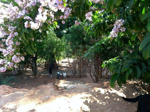 Imagem 11 de 22 de Chacara Recanto Dos Passaros - Ch0213