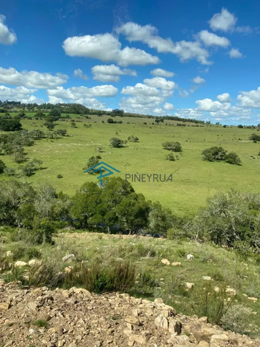Hermosa Chacra Con Arrollo Y 2 Tajamares Pueblo Edén