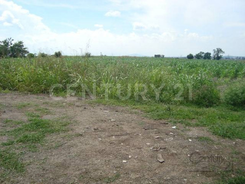 Imagen 5 de 6 de Terreno En Venta 15,000.0 M²,la Calera, Tlajomulco De Zúñiga, Jalisco