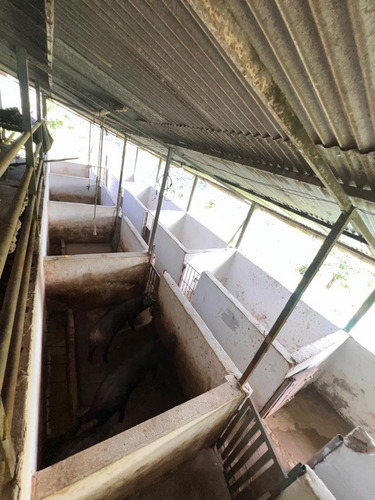 Finca Productiva - Vía Rubio - Sector Las Vegas
