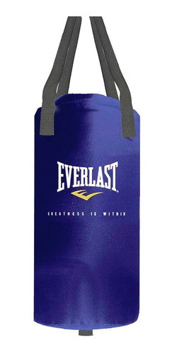 Bolsa Boxeo Everlast 25 Lbs Double Ended Nevatear Original 