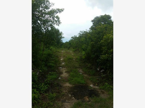 Imagen 1 de 12 de Terreno En Venta Cuna Maya Smza. 205