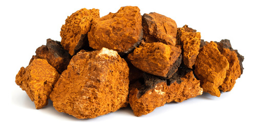 Extrato Chaga - Inonotus Obliquus 30ml