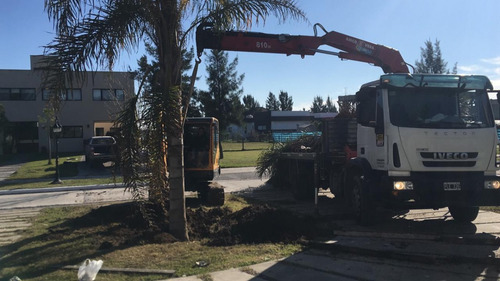 Alquiler De Hidrogrua Camion Grua Fletes Mudanzas Grama