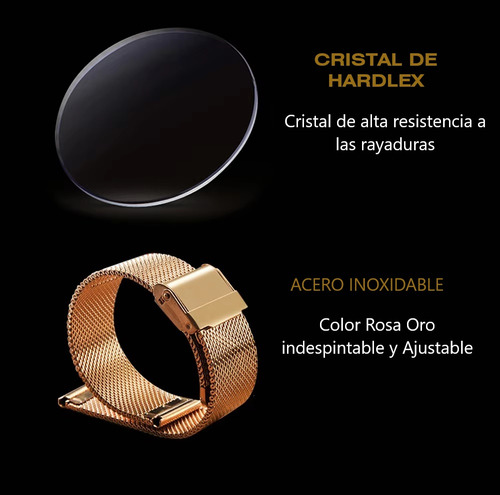 Reloj Hombre Hannah Martin Acero Inoxidable Dorado Rosee