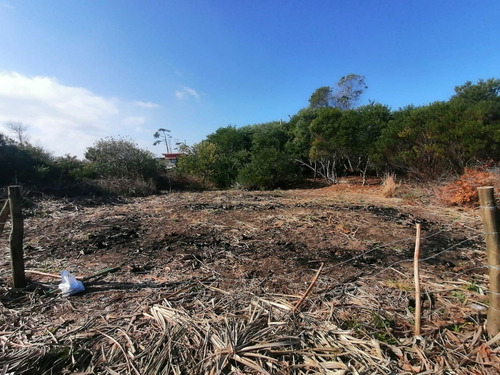 Imagen 2 de 5 de Terreno En Zona La Serena - La Paloma