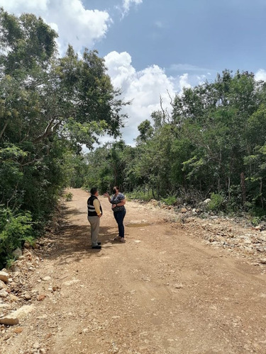 Imagen 7 de 10 de Lotes Semi Urbanizados Punta Clara En Dzidzantún, Yucatán