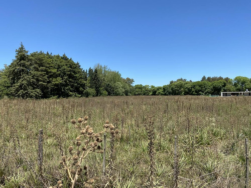 Imagen 11 de 12 de Venta - Lote 1766m2 - Sobre Colectora Ruta 8 El Remanso - Exaltacion De La Cruz