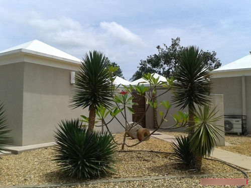 Imagen 7 de 15 de Casa En Alquiler En Sanare Cerca Del Parque Morrocoy