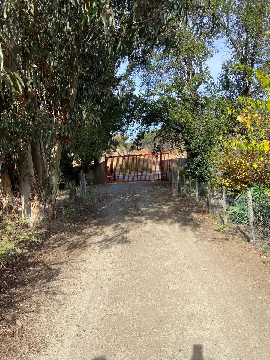 Imagen 4 de 27 de María Pinto Sector La Palma De Ibacache, Linda Casa Arriendo