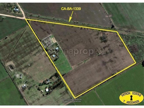 Imagen 7 de 10 de Campo En Exaltación De La Cruz R6 - Open Door - Luján
