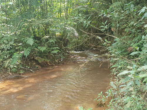 Terreno Sitio Chacara Lote Loteamento Com Lago 16.000 M² Ibiuna Sonho Tranquilidade Natureza Refugio